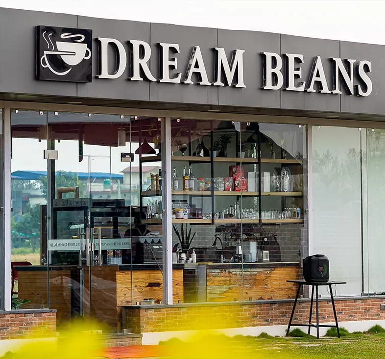 Dream Beans